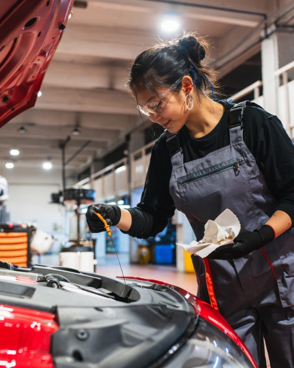 Car Parts Importers